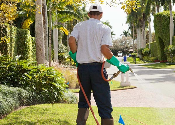 About Mora MO Pest Control